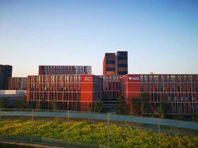 崇明口碑好租车公司